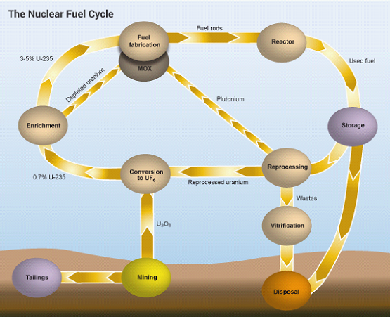 http://www.ivyappareluk.com/cmsresources/89/56/34003a664b40b552bfeae086c894_1.0.png